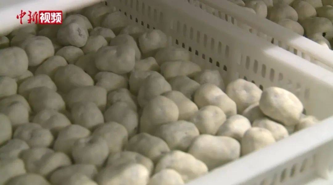 山东烟台流入奶枣产品2管标本新冠病毒核酸检测结果阳