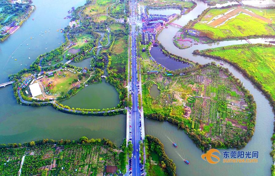 一半山水一半城!最近麻涌这条村又添了一个省级荣誉