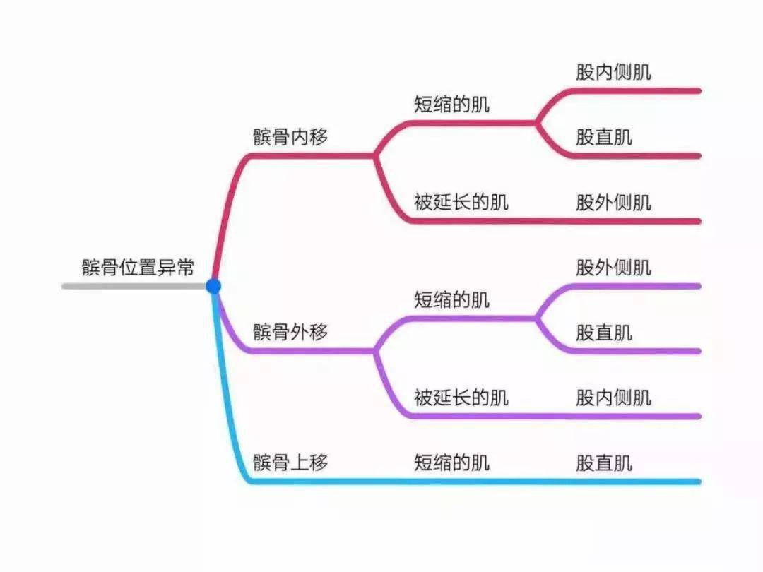 异常姿势解剖学分析导图