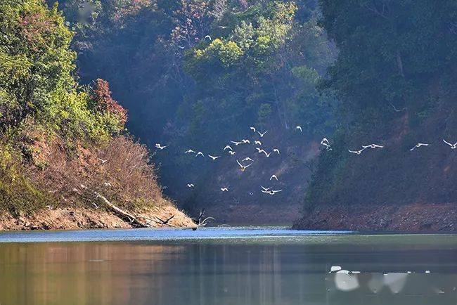 明山水库是昌宁的第二座中型水库,建于上世纪九十年代,是一个人工和