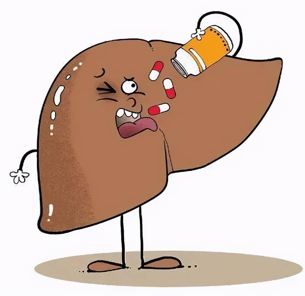 中医的肝和西医的肝一样吗