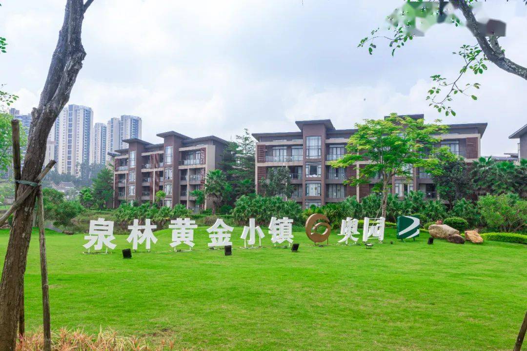 江门人口2021总人口_2021江门花灯