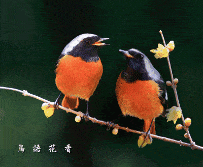 400_328gif 动态图 动图