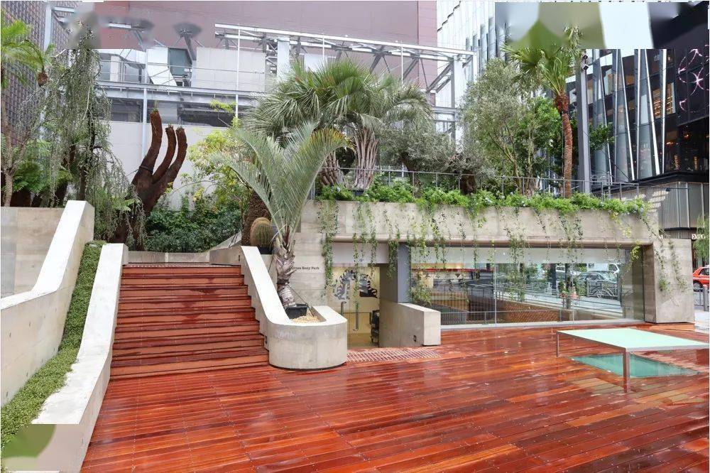 索尼在银座打造的绿色公园 是如何成为城市街区改造典范的 Sony