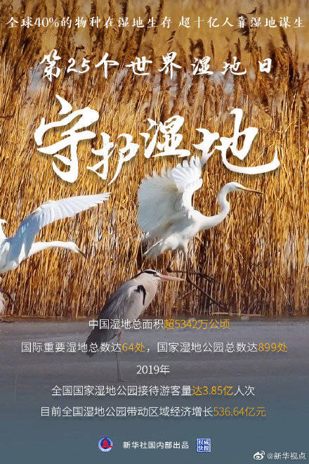 权威快报|守护湿地,从你我做起_保护