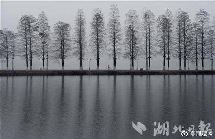 大雾笼罩下的武汉东湖