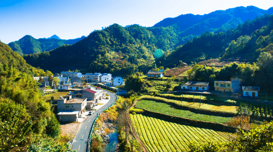 平利长安镇双杨村从贫困村到省级文明村