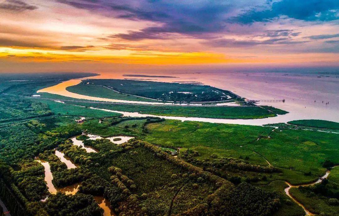 湿地,位于崇明岛西南角,是上海市目前唯一具有自然潮汐现象和成片滩涂