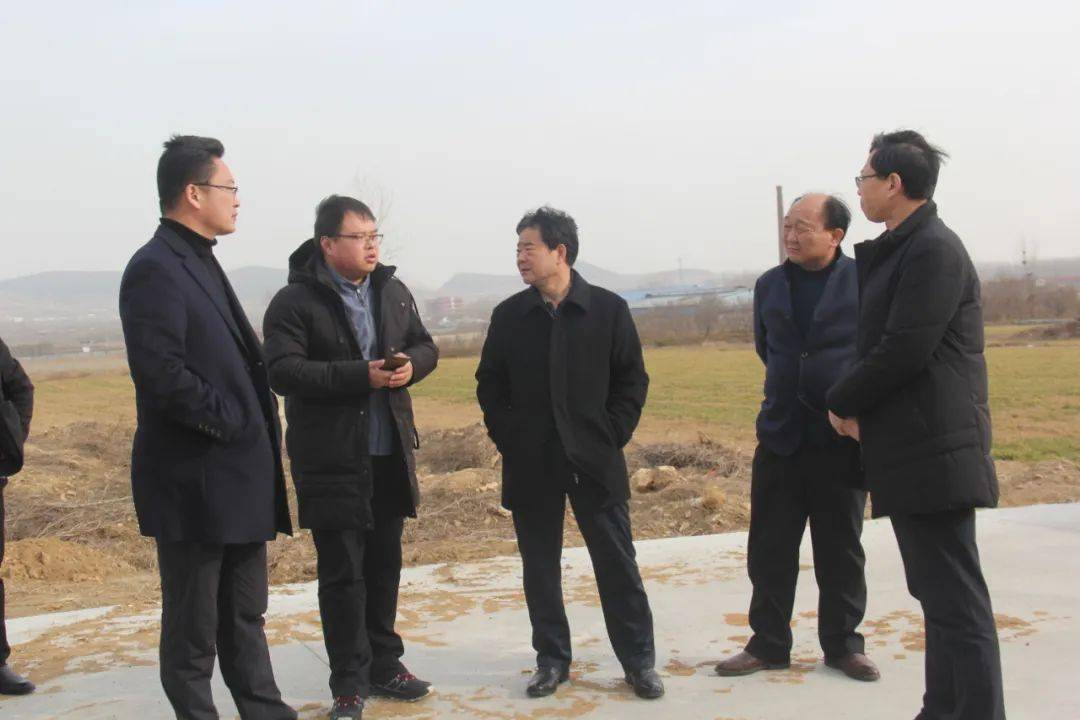 卢祥松到碑廓镇,巨峰镇现场推进现代高效农业项目招引落地工作