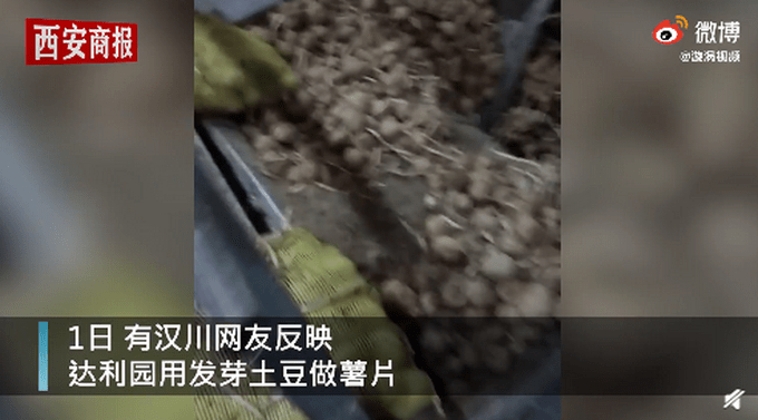 达利园疑用发芽土豆（图）