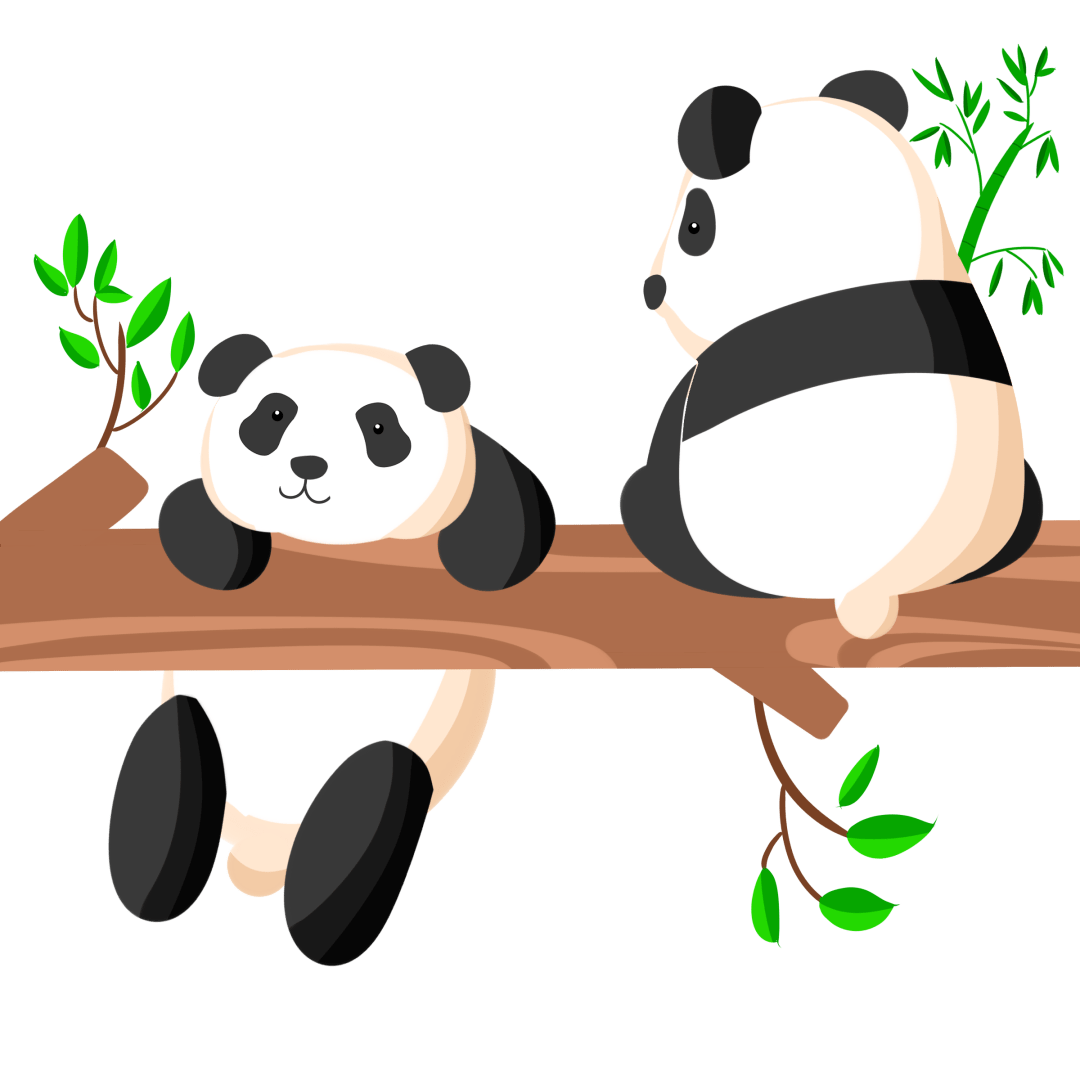 熊貓 雙胞胎 機率 (99) 사진