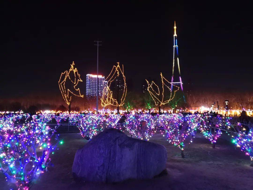 新蕾公园夜景图片