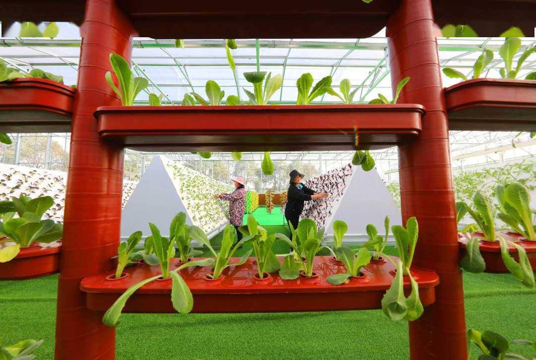 2021东乡gdp_2021新年快乐图片(2)