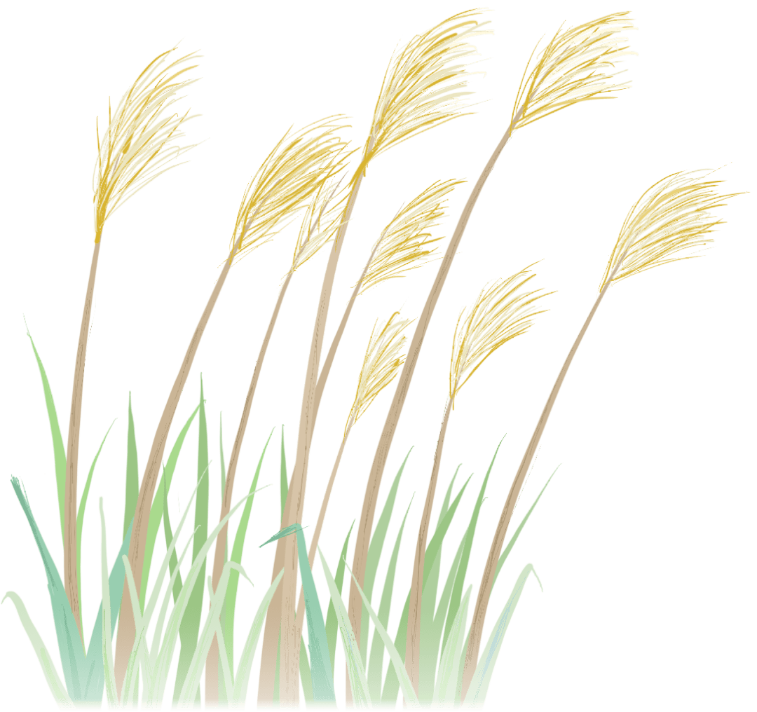 大寒猜成语_大寒手抄报