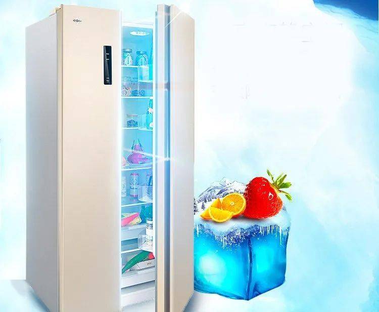 冰箱选的好活到九十九