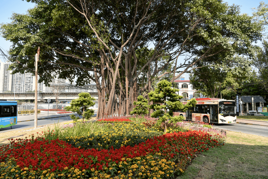 大坦沙雙橋路景觀大升級雙橋公園變身開放式城市花園