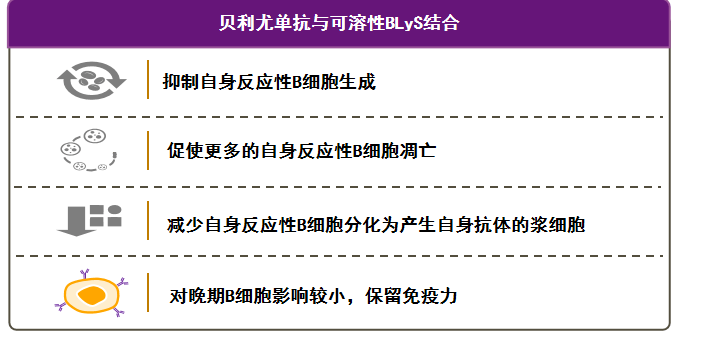 fee13f6f871c4421a93a4746da907f25.png