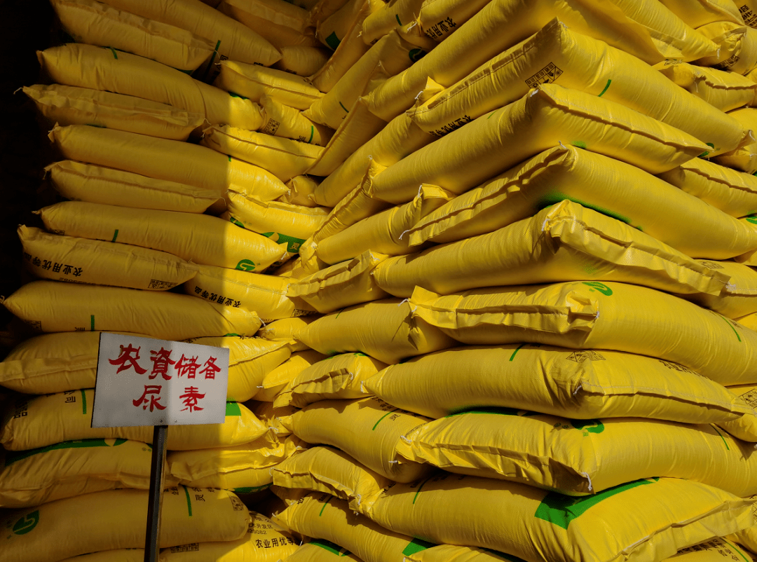 化肥配送中心仓库,工作人员正在将一袋袋农业肥料通过传输带运送装车