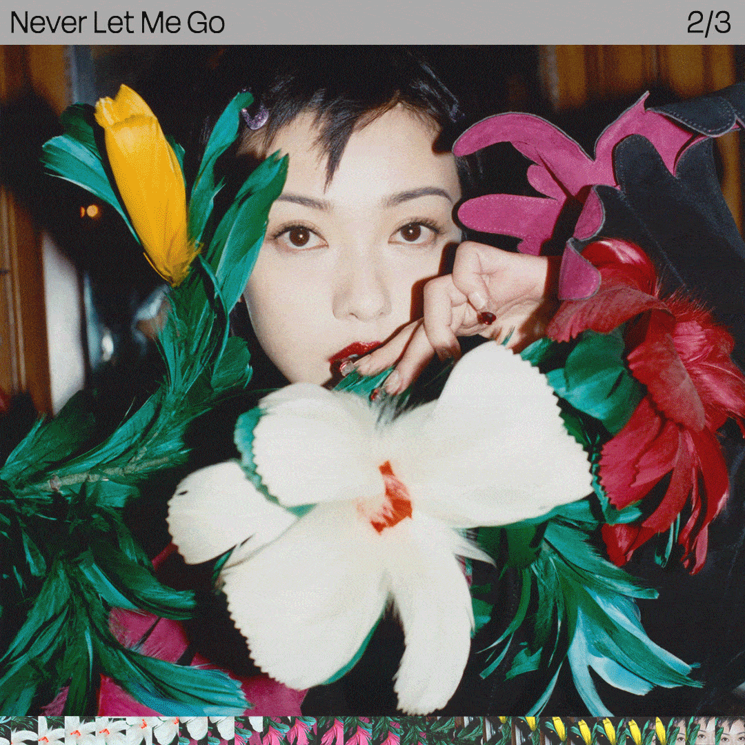 立春之日,郭采洁邀你入梦探寻