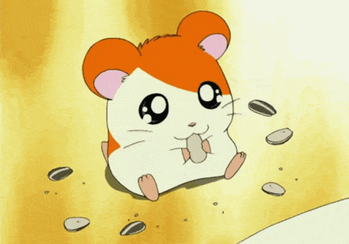 500_350gif 动态图 动图