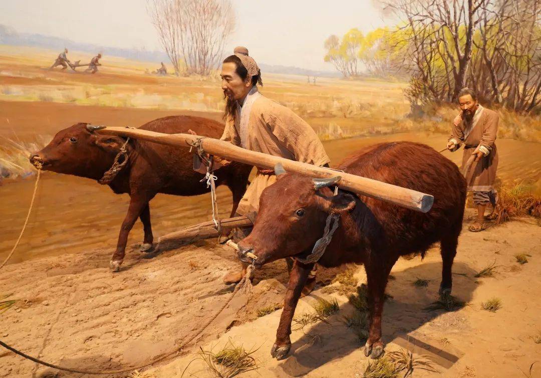 唤醒农人抖擞精神,开始春耕劳作寓意打走耕牛过冬时积下的懒惰人们用