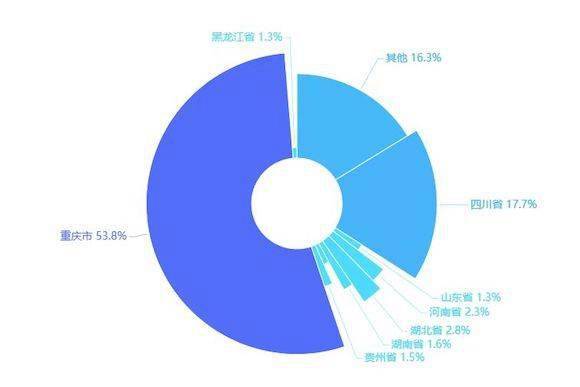 重庆2020总人口是多少_重庆最美女孩(3)