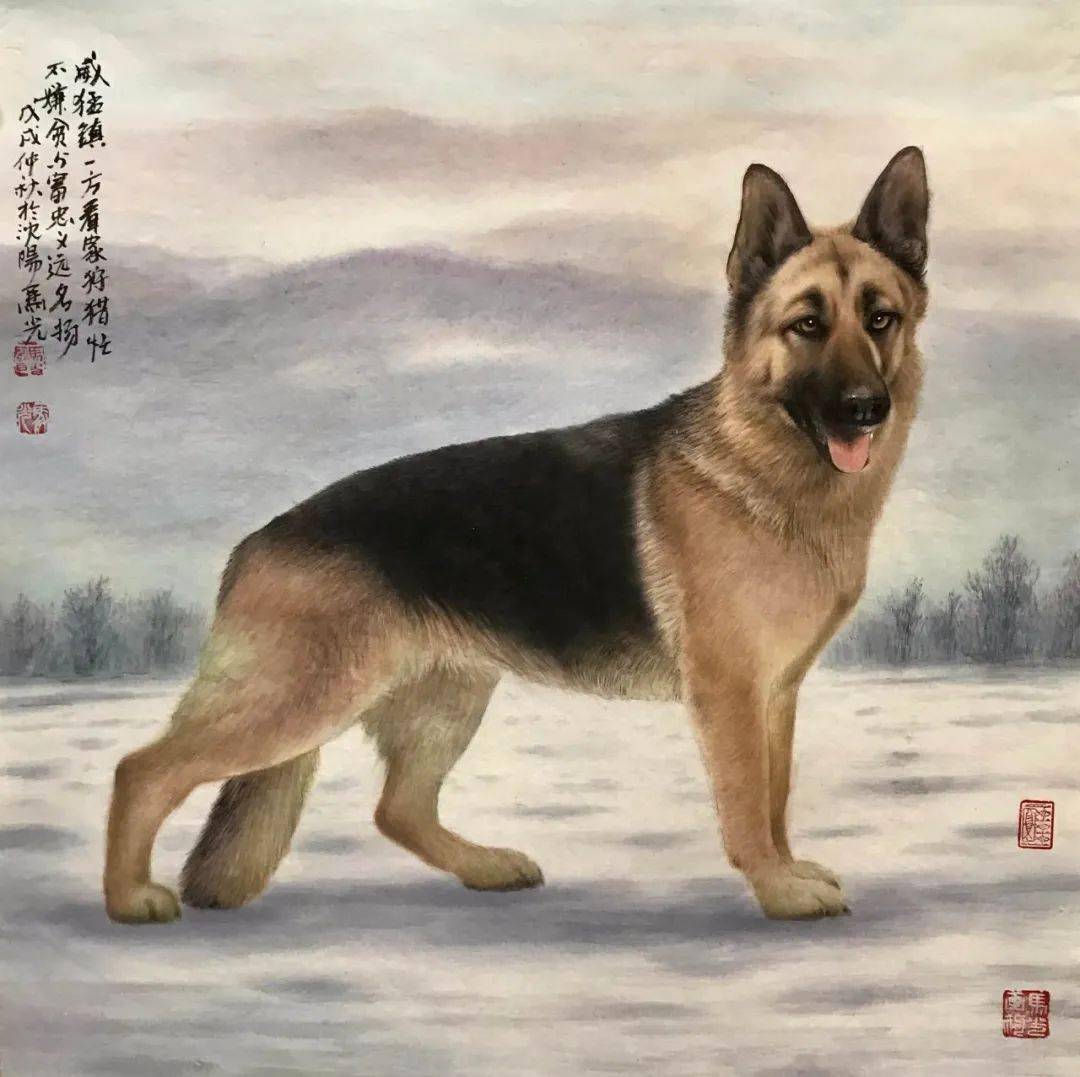中国画狗第一人马光图片
