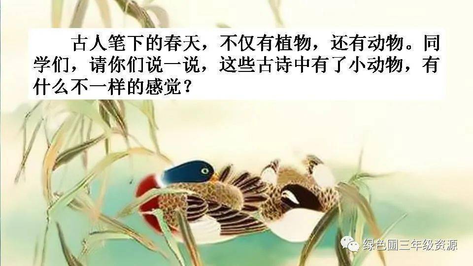 2436035b5ad74824a5151f8206a4e9a1.jpeg