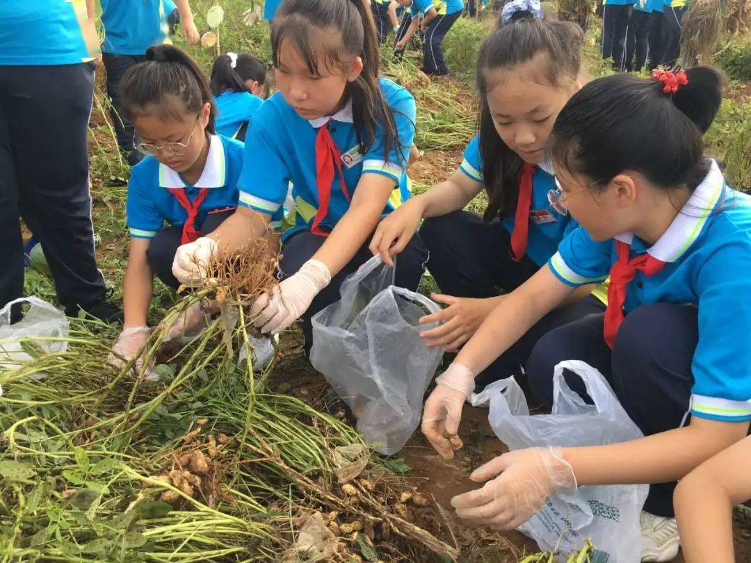 德育先进单位 | 荣成市好运角中学:成功从这里起航