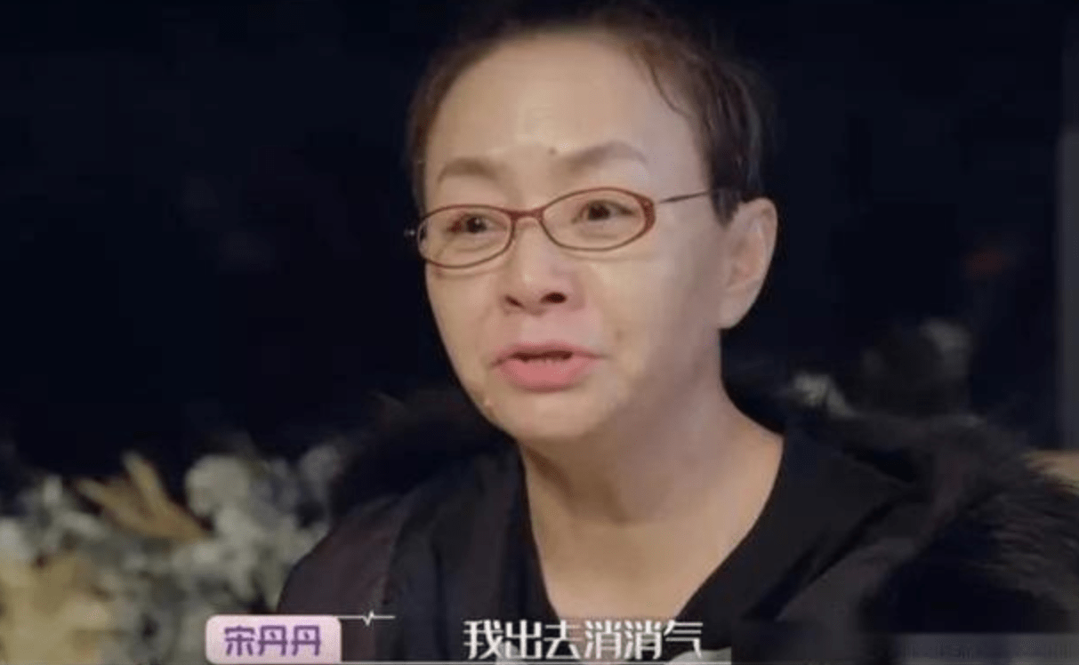 倪萍说王琳一分钟都离不开儿子宋丹丹感慨可怜陪她一起去相亲