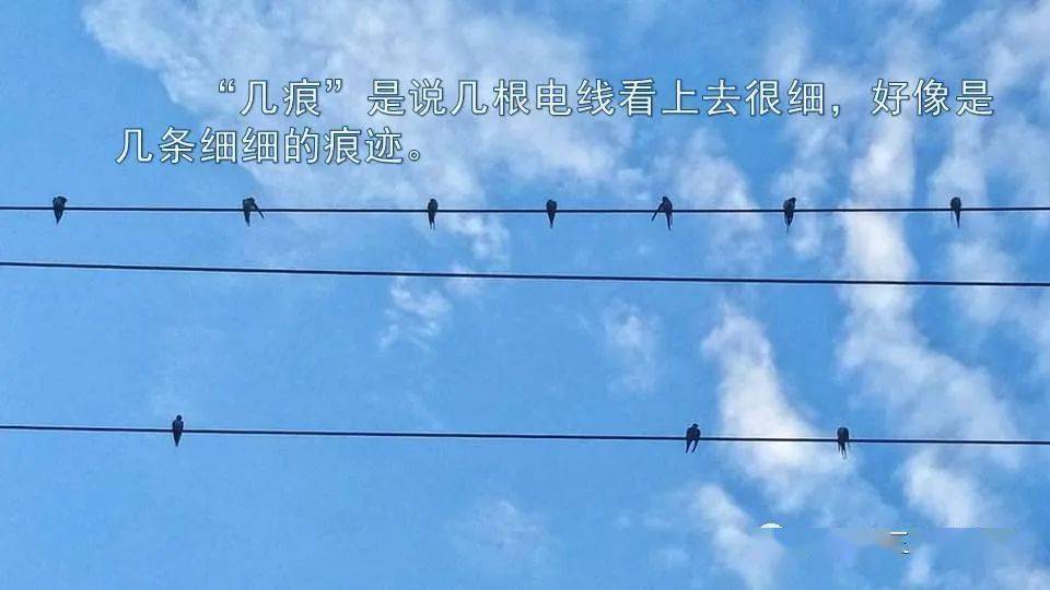 轻风细雨最新视频 2fdfb995714e41eb9a17a4050c5cfdfb.jpeg