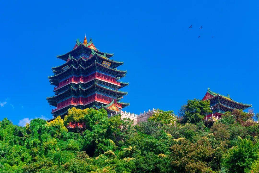 跟随良义 云游中国丨在南京遇见六朝古都