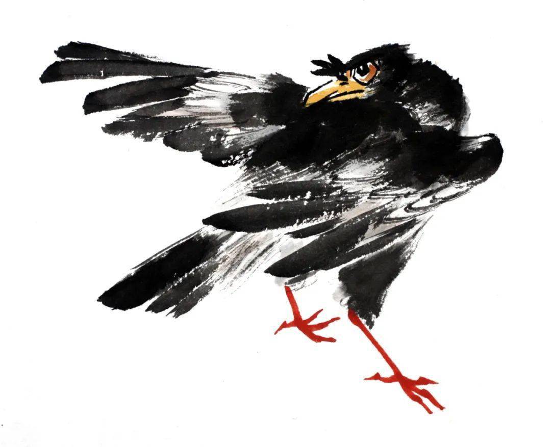 写意八哥 鹌鹑的画法