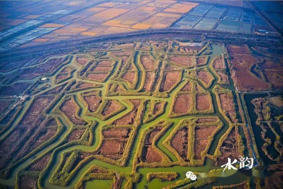 2月16號(初五)迎新年逛大湖溼地--洪澤湖溼地公園._活動