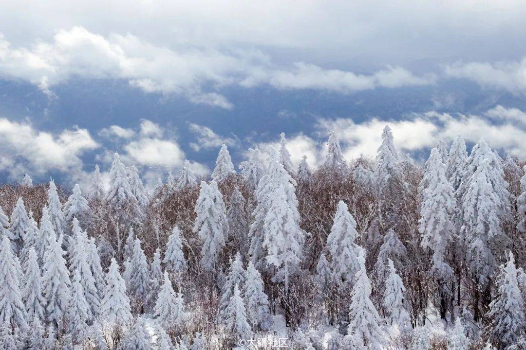 他们为何每日都要穿林海,跨雪原?