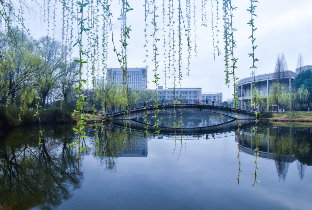 德阳河海风景图图片