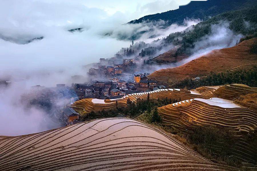 现在的龙脊梯田冬景似春