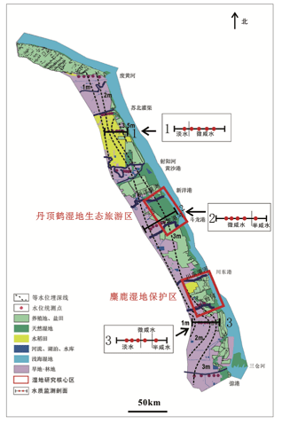 成果快讯|江苏盐城滨海湿地生态环境特征查明