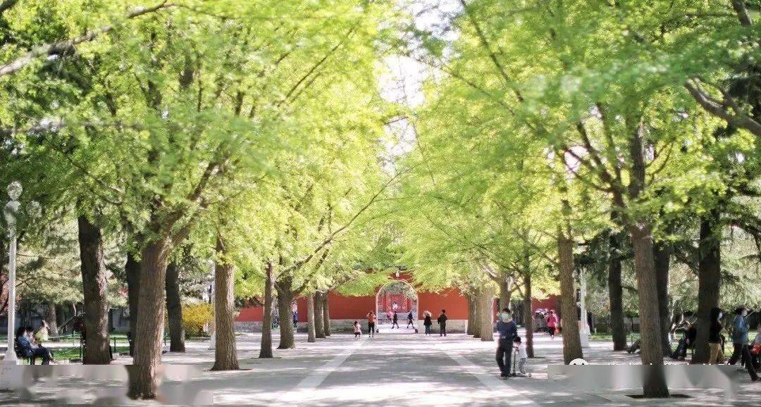 北京过年攻略 · 11家公园免费逛