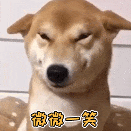 養一隻有潔癖的寵物是一種什麼體驗？鏟屎官：就差會自己鏟屎了！ 萌趣萌寵 第18张