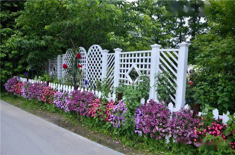 栅栏伴着花篱可防风降噪更是一道亮丽的风景柔美的植物景观与自然万物