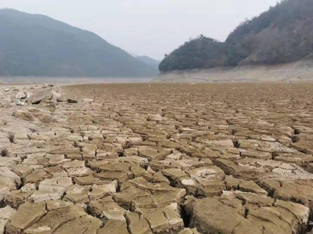 逼近20,宁波的雨雨雨要一直下到过年!能缓解旱情吗?