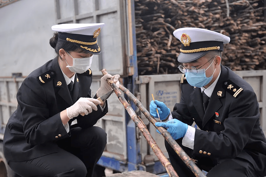 黄华珠专家评语通过捕捉关员投入的工作状态,反映海关检疫工作的细致