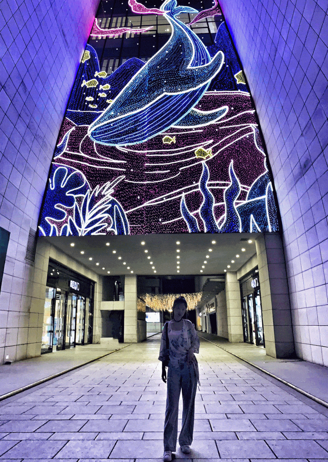 罗源gdp_罗源滨海新城