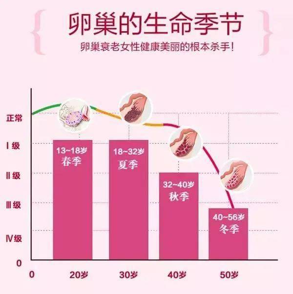 全方位調節女性生殖系統功能,增強卵巢功能,促進卵巢功能的進一步成熟