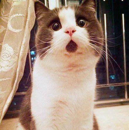 H&M再被罚:把不合格产品冒充合格产品并销售(图4)