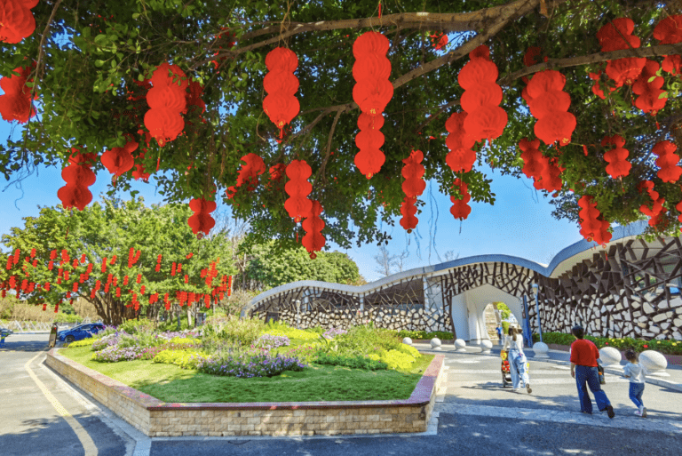 节前起深圳市区公园花海花境绽放，多个新建及提升公园开放