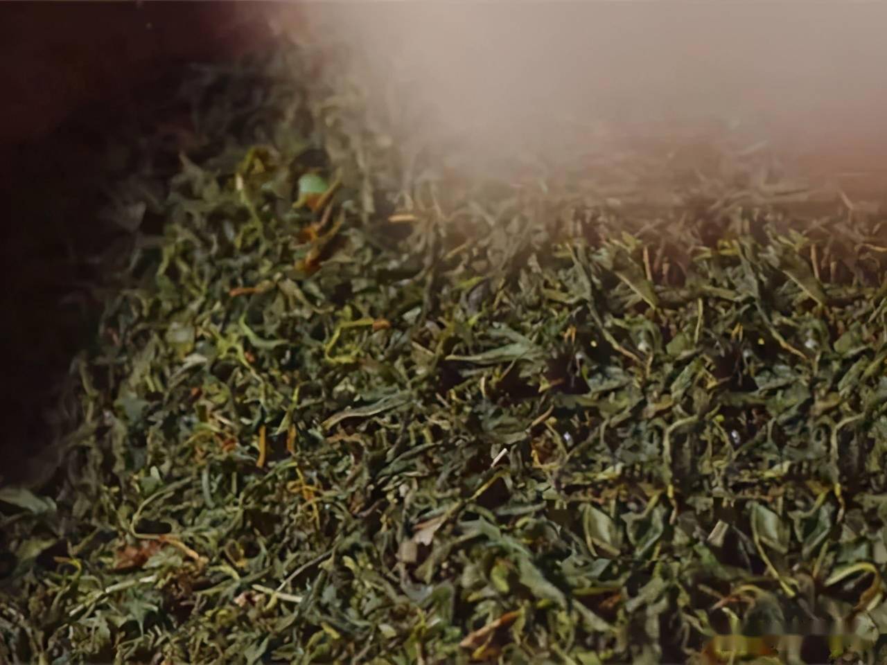 发酵将揉捻完的茶叶放到竹篓内,茶叶在自身酶的作用下进行发酵,经过一