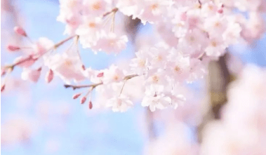 9b2fe3813a874bb6925dc592590468ab.png