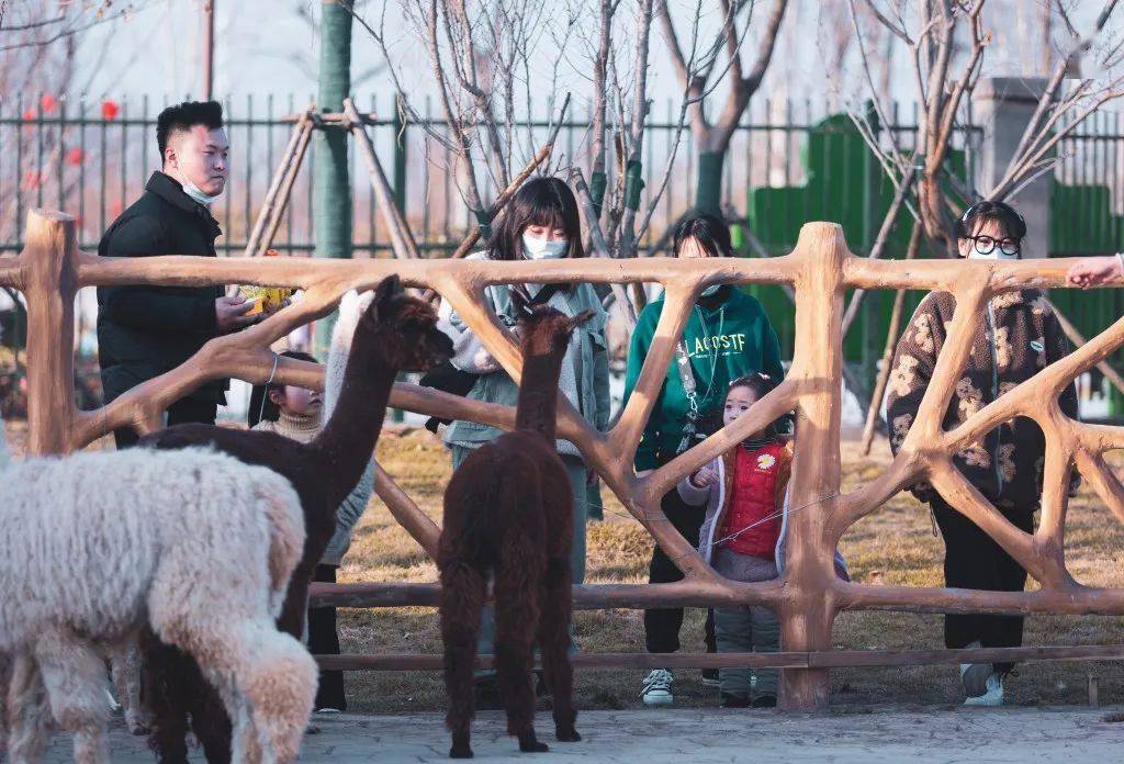 亳州林拥城动物园图片